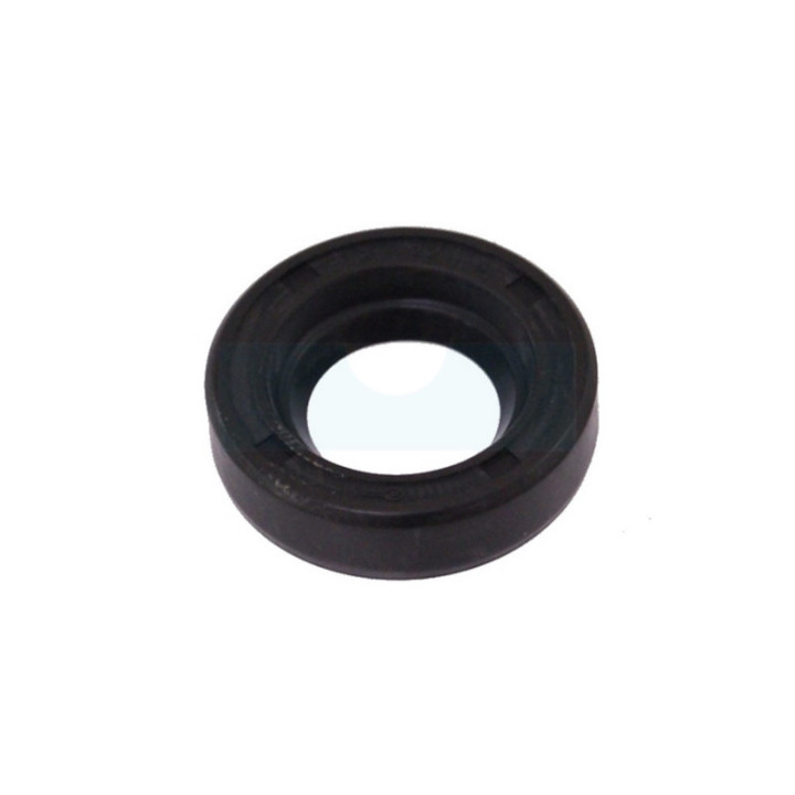 Joint spi 12x22x6mm