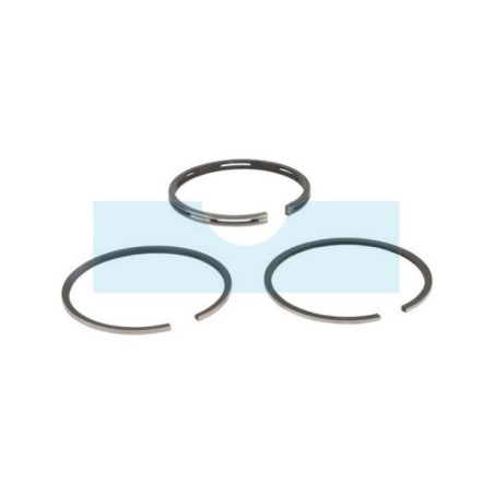 Kit segment pour moteur Briggs & Stratton (298174)