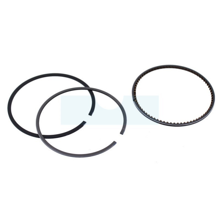 Kit segment pour moteur Briggs & Stratton (843806)