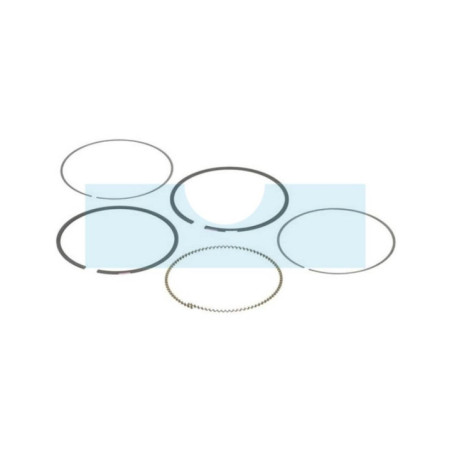 Kit segment pour moteur Briggs & Stratton (792026)
