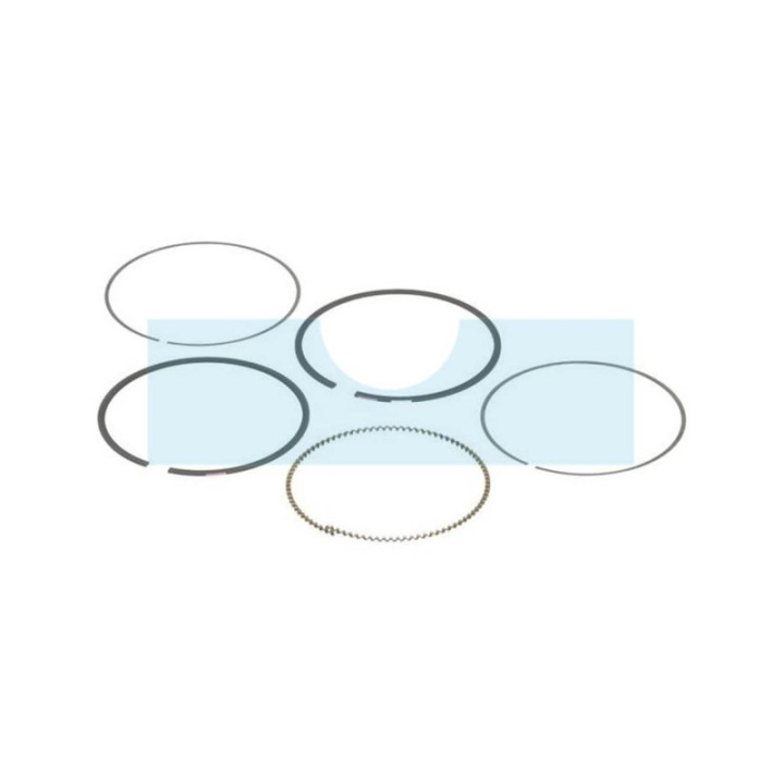 Kit segment pour moteur Briggs & Stratton (792026)