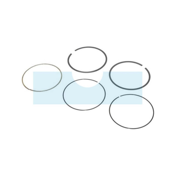 Kit segment pour moteur Briggs & Stratton (797011)