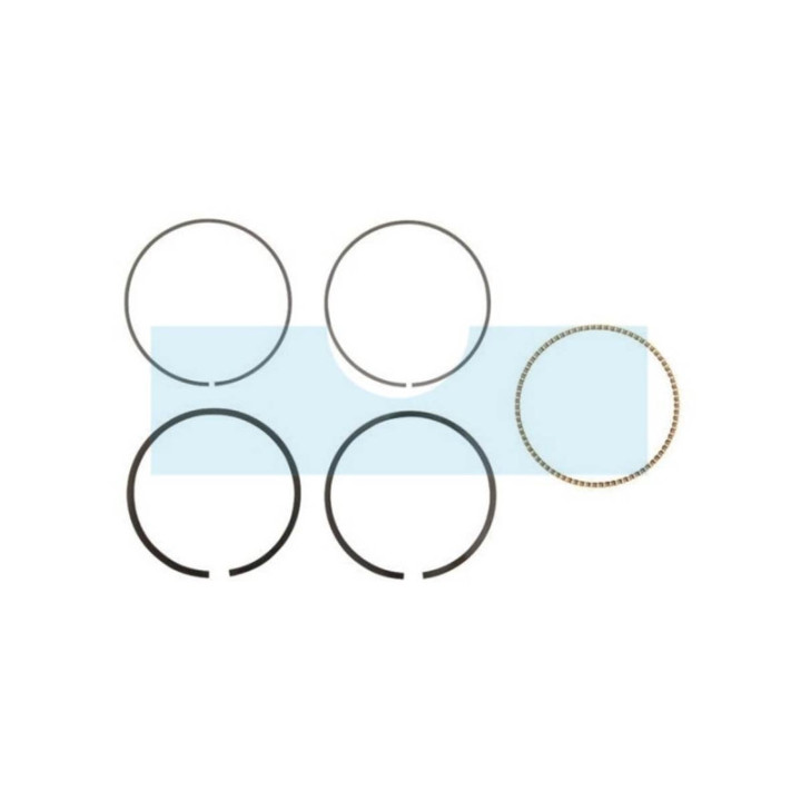 Kit segment pour moteur Briggs & Stratton (715111)