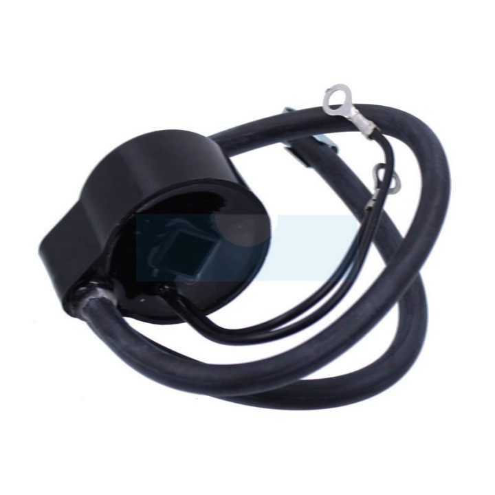 Bobine d'allumage pour moteur Tecumseh / Tecnamotor (30560A)
