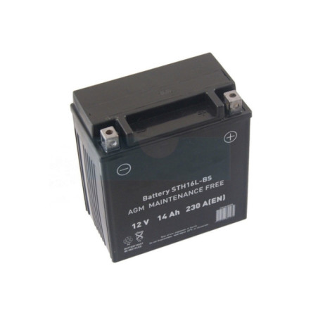 Batterie tondeuse 12V 14Ah (GEL / AGM) (FTX16)