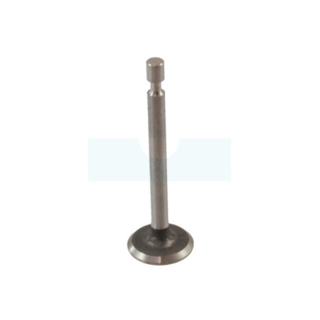 Soupape d'admission pour moteur Briggs & Stratton (793504)
