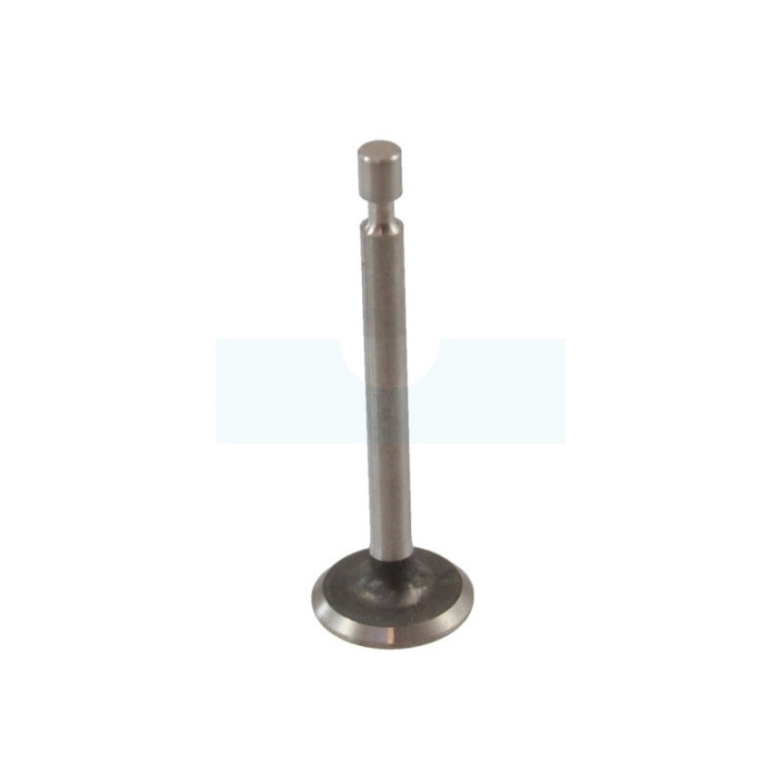 Soupape d'admission pour moteur Briggs & Stratton (793504)