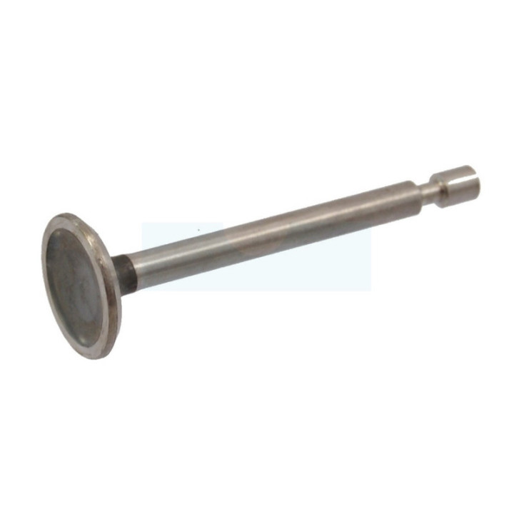 Soupape d'admission pour moteur Briggs & Stratton (793504)