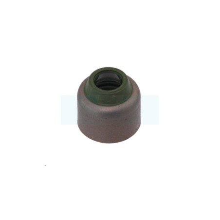 Joint de queue de soupape pour moteur Briggs & Stratton (793507)