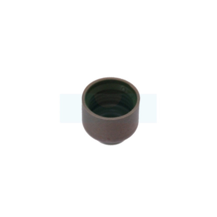 Joint de queue de soupape pour moteur Briggs & Stratton (793507)
