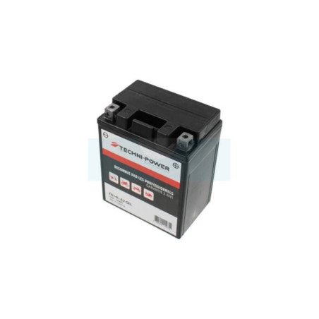 Batterie tondeuse 12V 14Ah (Gel) (12N143A)