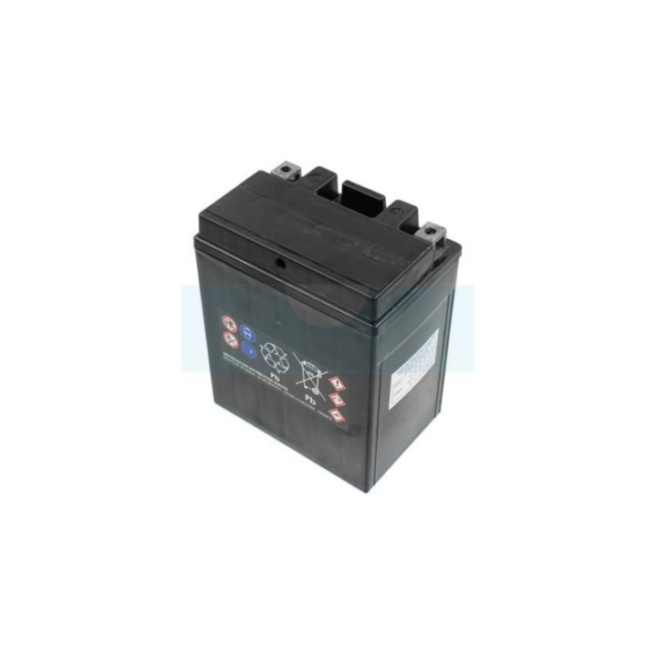 Batterie tondeuse 12V 14Ah (Gel) (12N143A)