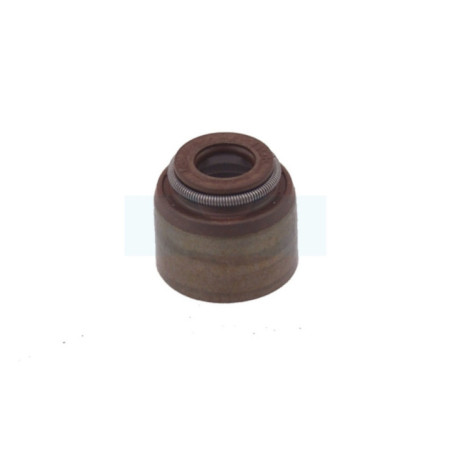 Joint de queue de soupape pour moteur Briggs & Stratton (691963)