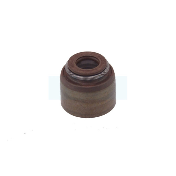 Joint de queue de soupape pour moteur Briggs & Stratton (691963)