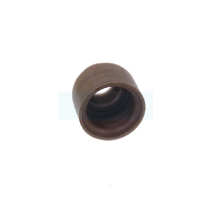 Joint de queue de soupape pour moteur Briggs & Stratton (691963)