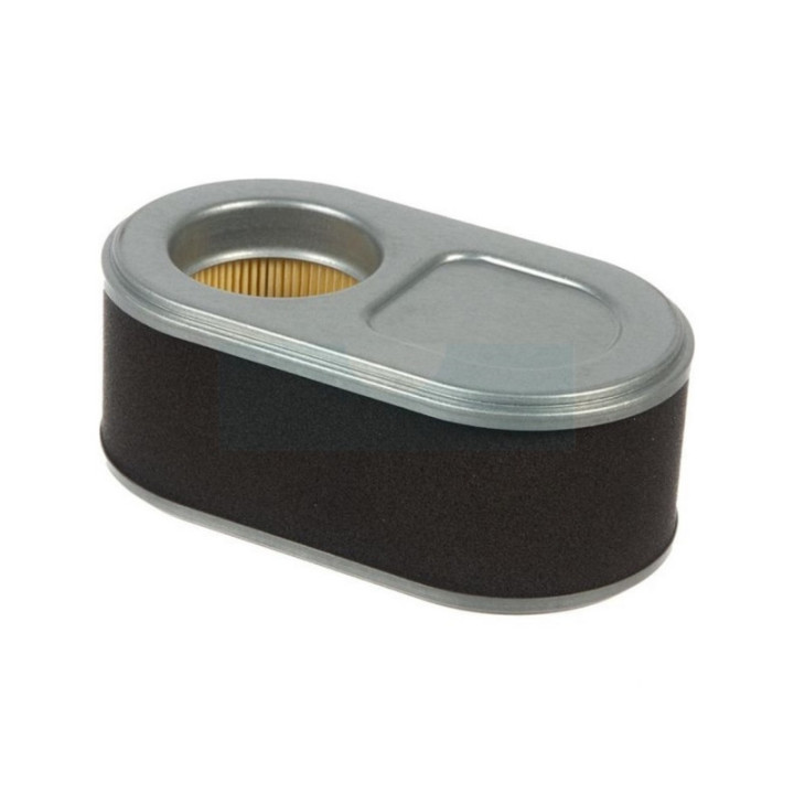 Filtre à air pour moteur Loncin (73705122)