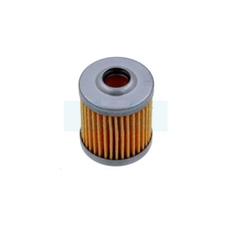 Filtre à gazole pour moteur Yanmar (10420055710)