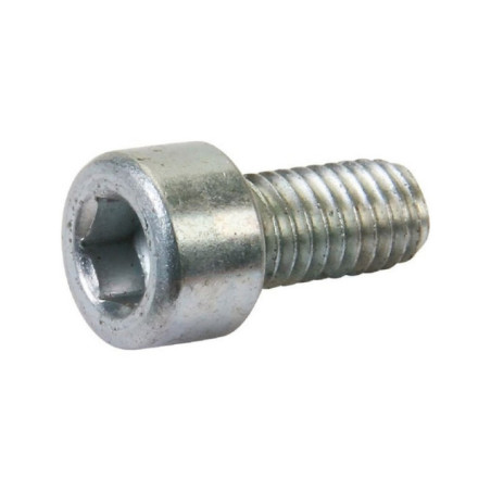 Vis pour tondeuse Alko (510433)