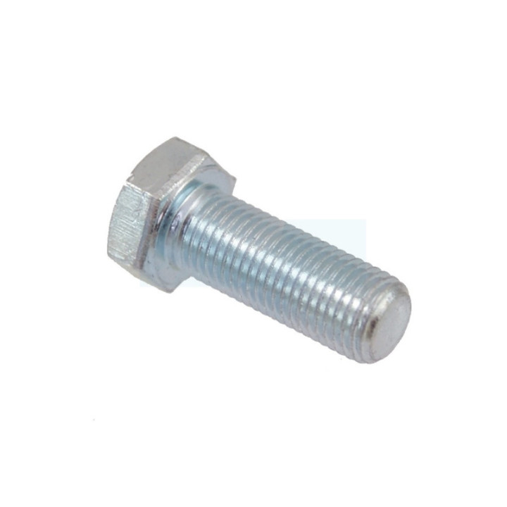 Vis pour tracteur tondeuse MTD (710-0152)