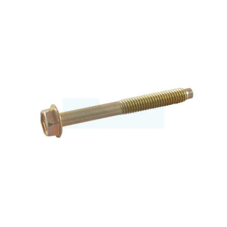 Boulon pour moteur Briggs & Stratton (690904)