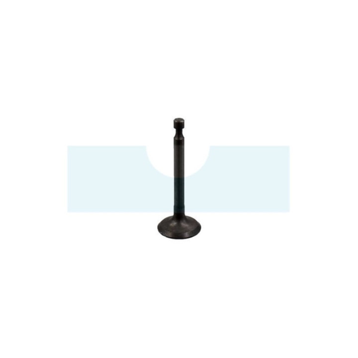 Soupape d'admission pour moteur Kawasaki (12004-2118)