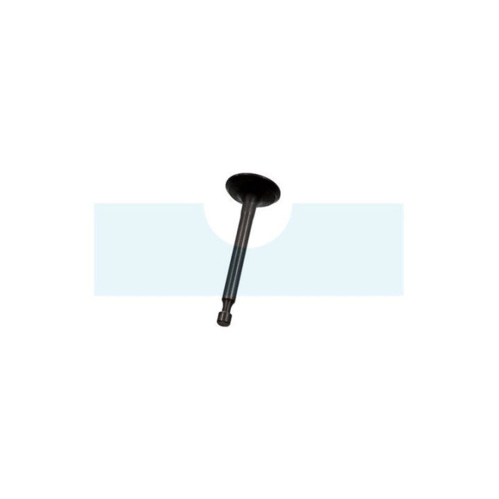 Soupape d'admission pour moteur Kawasaki (12004-2118)