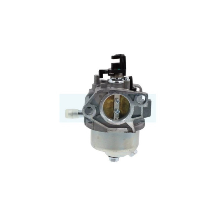 Carburateur pour moteur Castelgarden / GGP (1185504351)