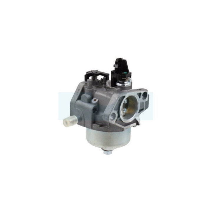 Carburateur pour moteur Castelgarden / GGP (1185504351)