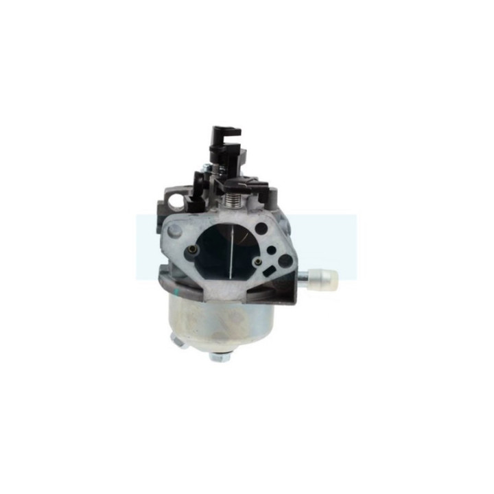 Carburateur pour moteur Castelgarden / GGP (1185504351)