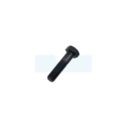 Boulon de lame pour tondeuse Toro (125-2466)