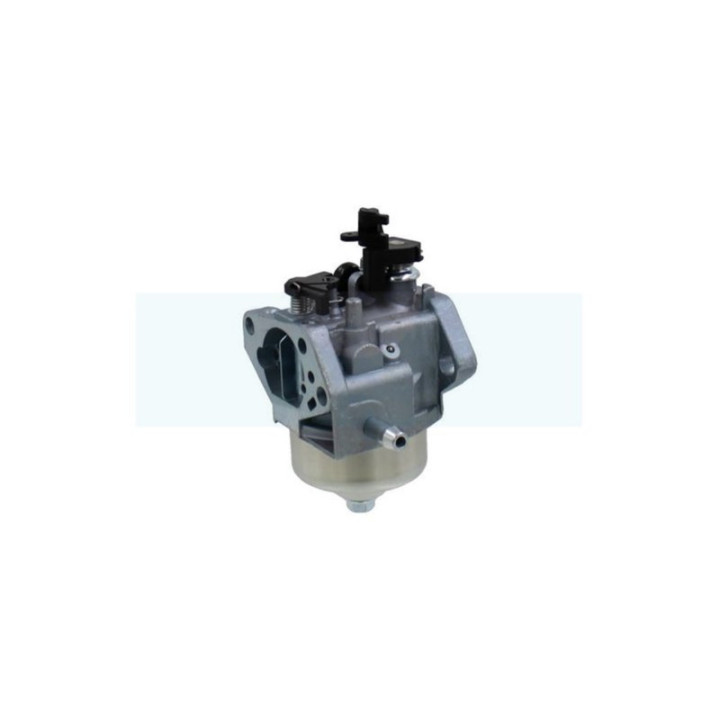 Carburateur pour moteur GGP (118550375/0)