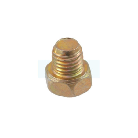 Vis de cuve de carburateur pour Briggs & Stratton (691657)