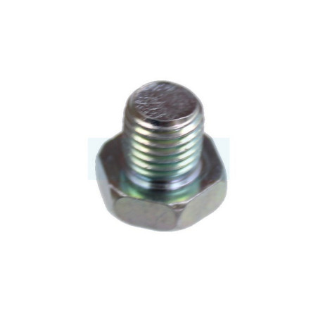 Vis de cuve de carburateur pour moteur Briggs & Stratton (694919)