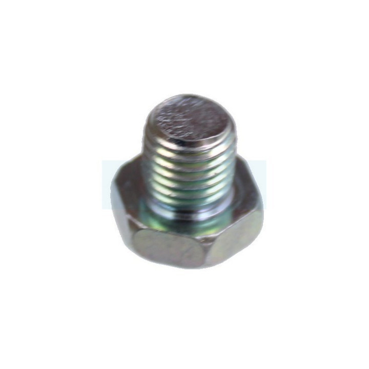 Vis de cuve de carburateur pour moteur Briggs & Stratton (694919)