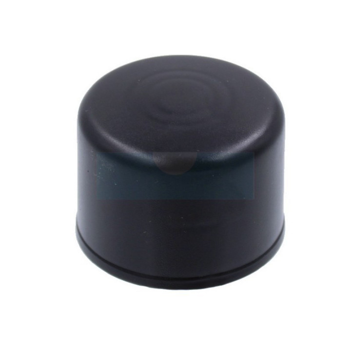Cache d'axe de roue pour tracteur tondeuse Castelgarden / GGP (1221102300)