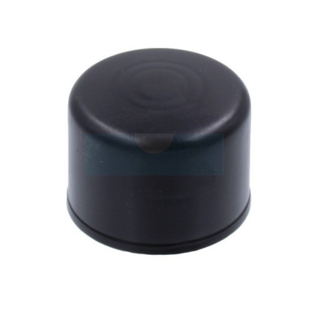 Cache d'axe de roue pour tracteur tondeuse Alpina (1221102300)