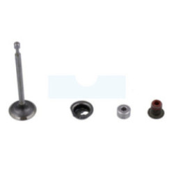 Soupape d’admission pour moteur Briggs & Stratton (590530)