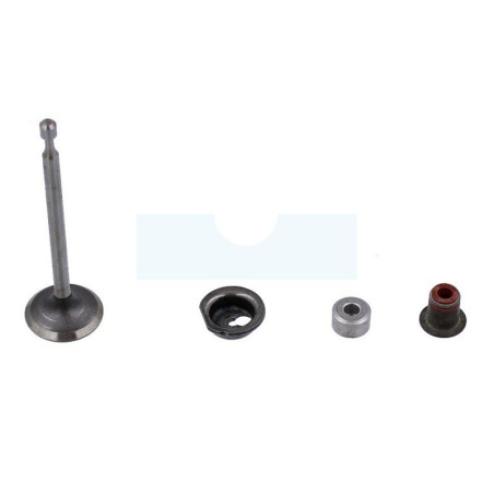Soupape d’admission pour moteur Briggs & Stratton (590530)