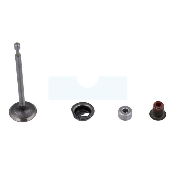Soupape d’admission pour moteur Briggs & Stratton (590530)