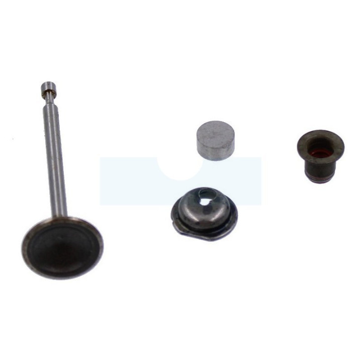 Soupape d’admission pour moteur Briggs & Stratton (590530)