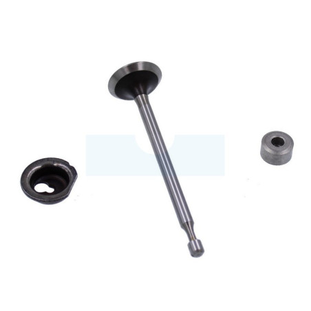 Soupape d’échappement pour moteur Briggs & Stratton (590531)