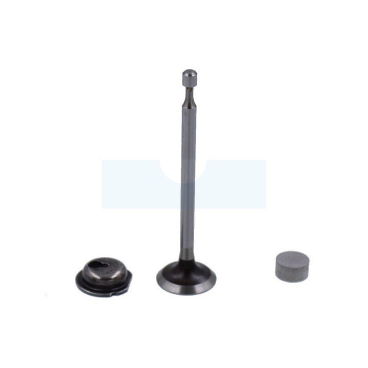 Soupape d’échappement pour moteur Briggs & Stratton (590531)