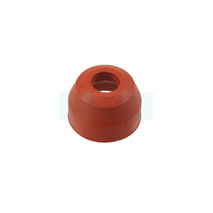 Joint de queue de soupape pour moteur Lombardini (2135-063)