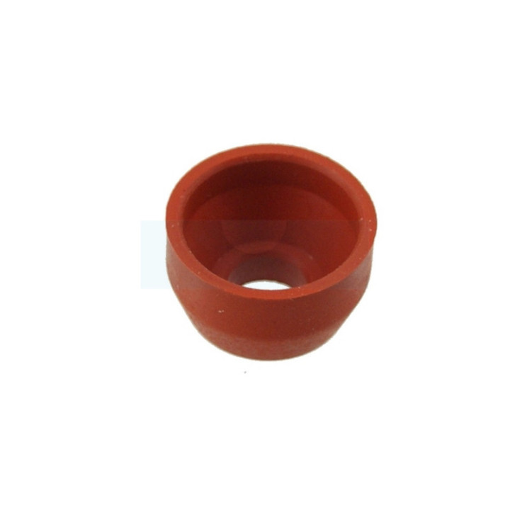 Joint de queue de soupape pour moteur Lombardini (2135-063)