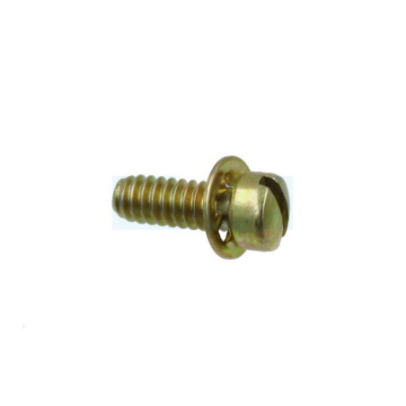 Vis pour moteur carburateur Briggs & Stratton (691619)