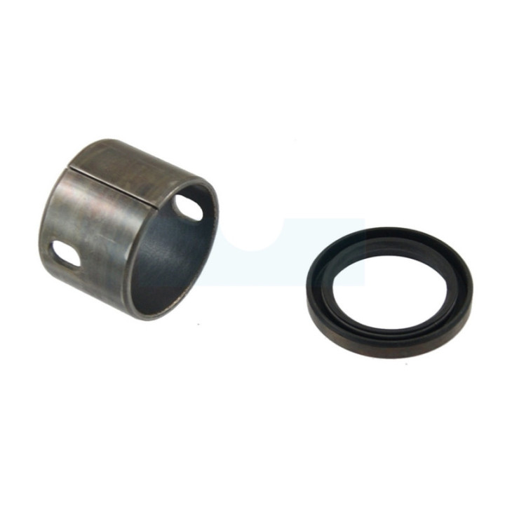 Douille de roulement pour moteur Briggs & Stratton (797673)
