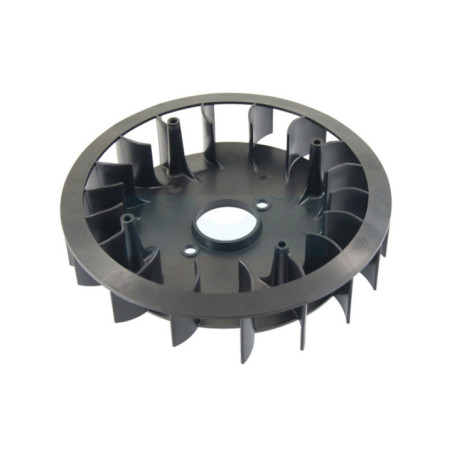 Ventilateur de volant pour moteur Briggs & Stratton (790698)