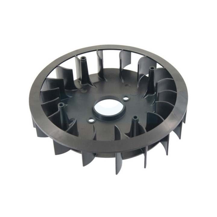 Ventilateur de volant pour moteur Briggs & Stratton (790698)