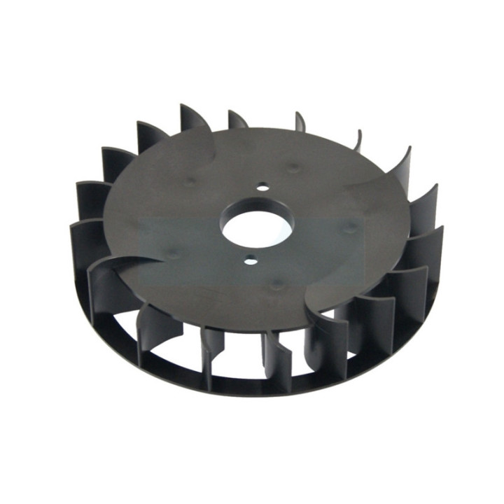 Ventilateur de volant pour moteur Briggs & Stratton (790698)