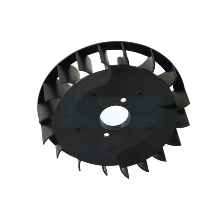 Ventilateur de volant pour moteur Briggs & Stratton (790698)